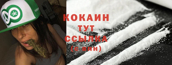 стафф Дмитровск