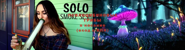 стафф Дмитровск