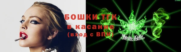 apvp Дмитриев