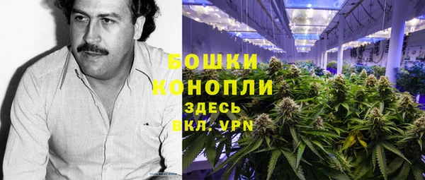 apvp Дмитриев