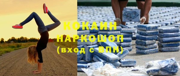 apvp Дмитриев