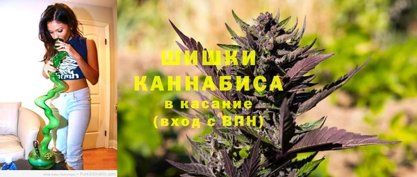 стафф Дмитровск