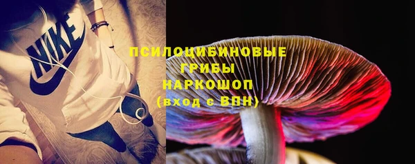 стафф Дмитровск